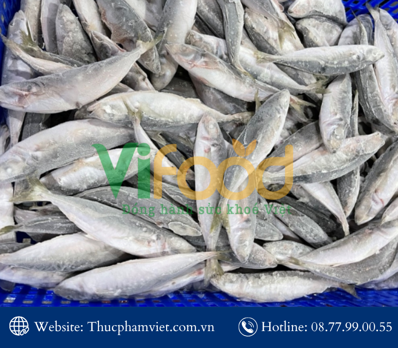 Mua hải sản đông lạnh giá sỉ tại Phường Thuận An