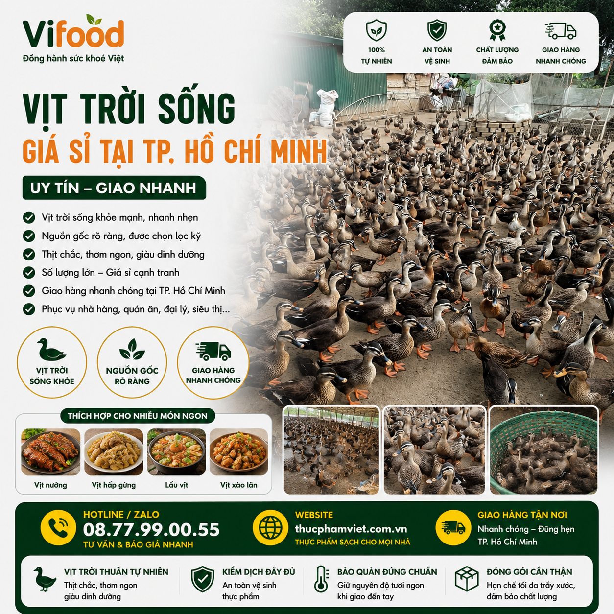 Địa Chỉ Bán Vịt Trời Sống Giá Sỉ Tại TP. Hồ Chí Minh 🦆 Uy Tín – Giao Nhanh