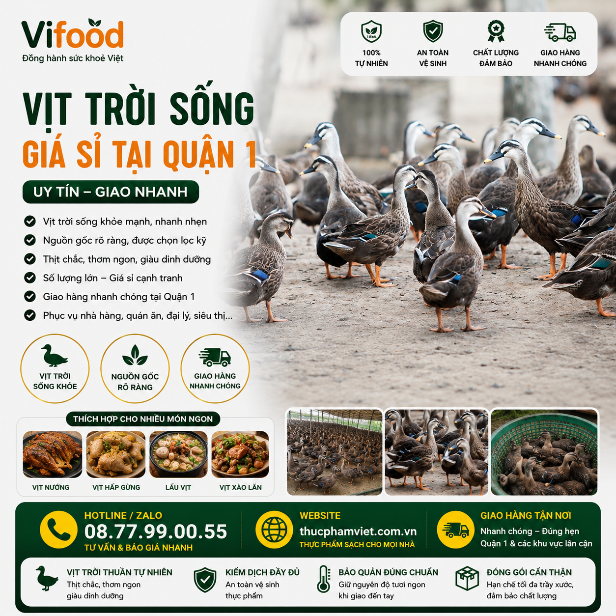 Top 3 Địa Chỉ Bán Vịt Trời Tươi Sống Quận 1 🦆 Giá Sỉ – Giao Nhanh