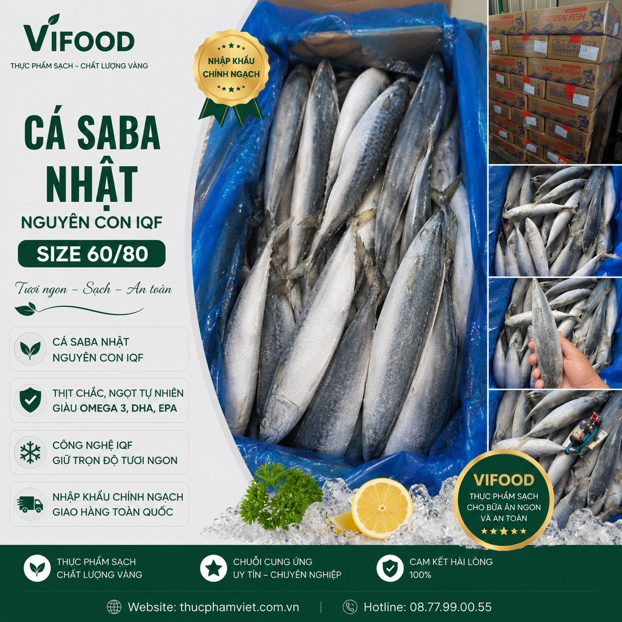 Cá Saba Nhật Nguyên Con IQF Size 60/80