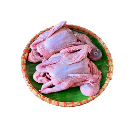 Đặt mua bồ câu thịt giao nhanh quận 1